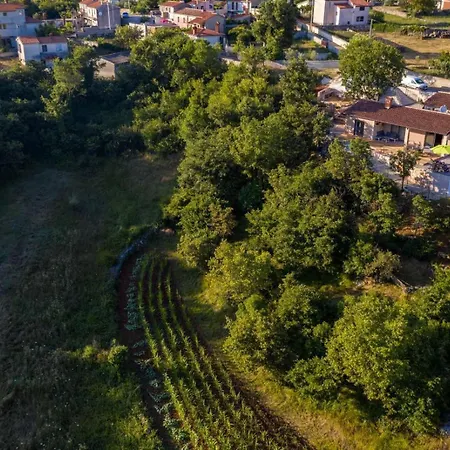 Gloria Sarići